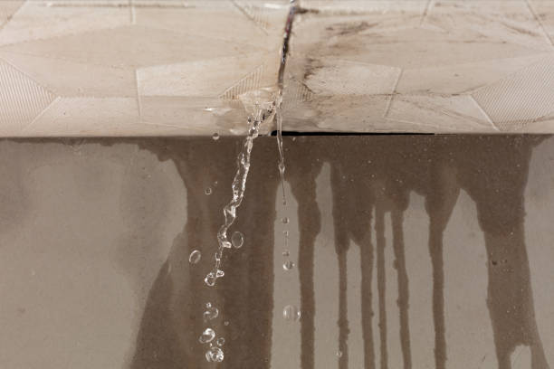 Professional Water Damage Restoration technician working in Gadsden, TN